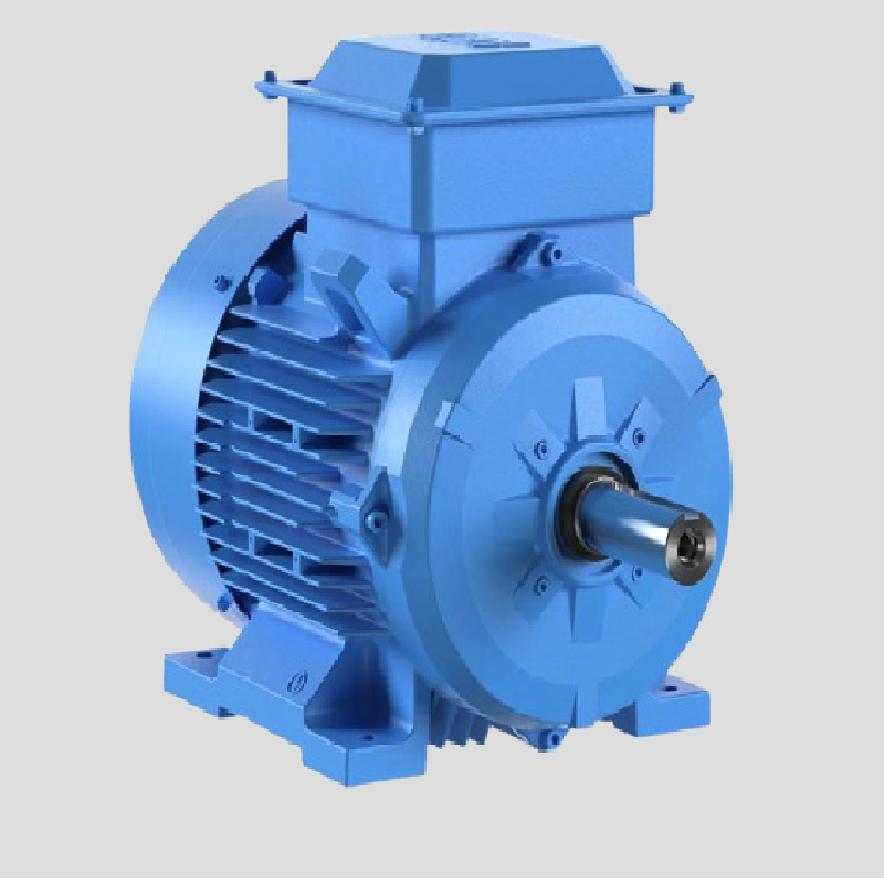 Bharat Bijlee IE2 Motors Supplier