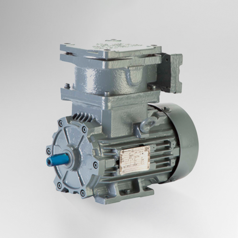 Bharat Bijlee Flame Proof Motors Supplier