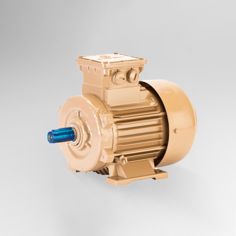 Bharat Bijlee IE3 Motors Supplier